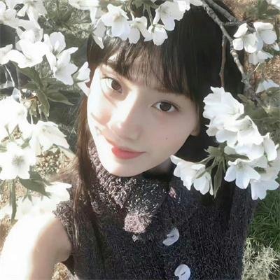 噬血狂袭第一季